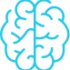 brain icon