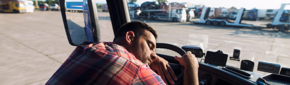 Truck driver asleep while driving